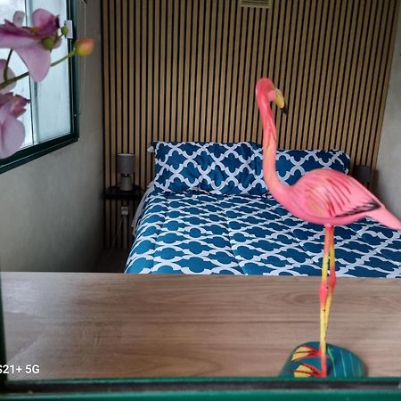 Chalet La Dolce Vita Viareggio Zewnętrze zdjęcie