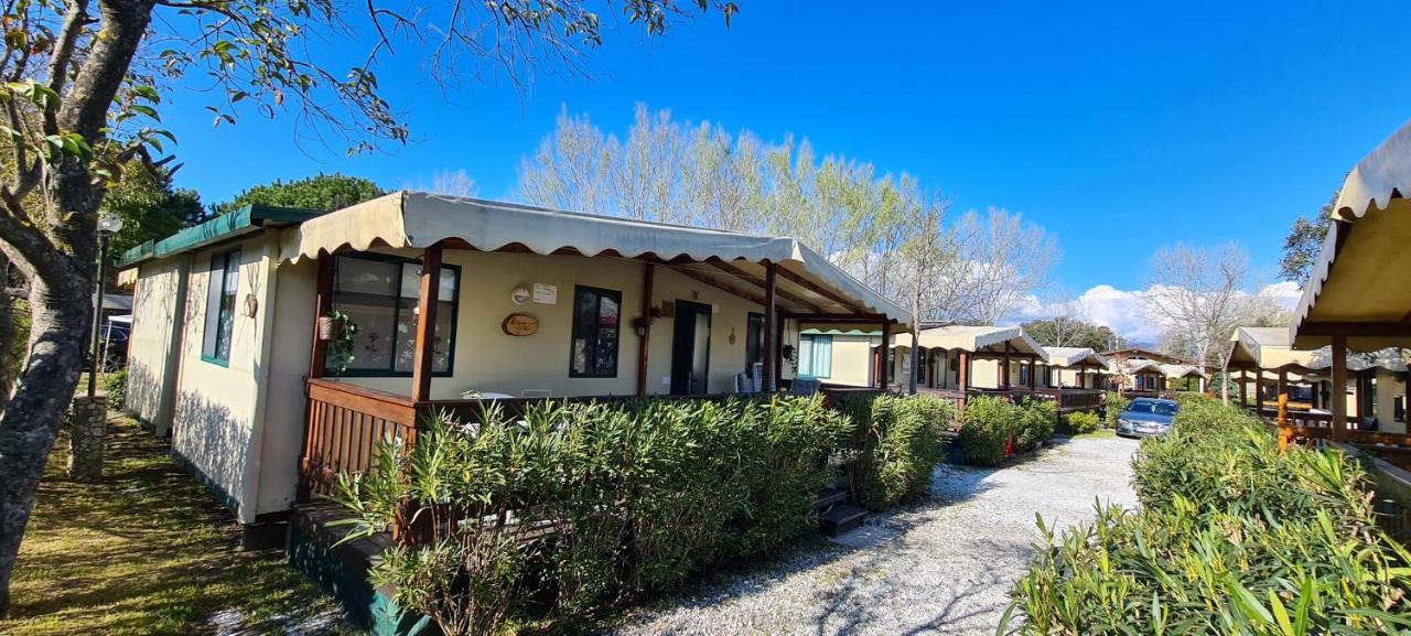 Chalet La Dolce Vita Viareggio Zewnętrze zdjęcie
